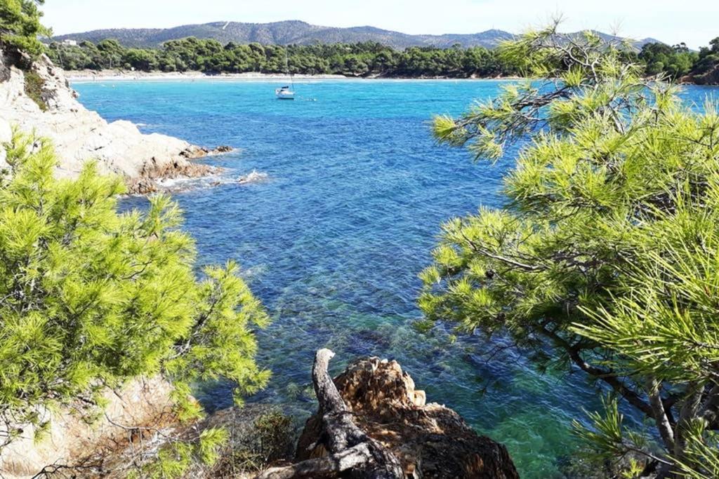 T2 Clim Parking, Entre Nature Et Plage Hyères Eksteriør billede